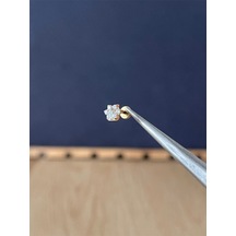 %100 G23 Titanyum Pırlanta Model Pati Model Altın Titanyum Labret Kıkırdak Piercing Gümüş - Mavi