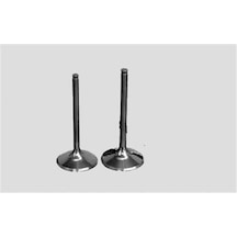Süpsan Tv-40572-40470 Subap Takımı 106 I 306 I 1.1 Tu1M Eng.