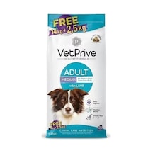 Vet Prive Adult Kuzu Etli Yetişkin Köpek Maması 14+2.5 Kg