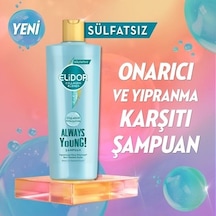 Sülfatsız Onarıcı Saç Bakım Şampuanı 350 Ml Normal