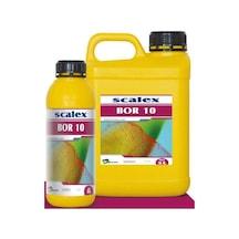 Scalex Bor 10 1 Lt 1 LT