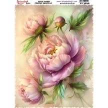Pirinç Dekopaj Kağıdı 30x42cm Pt-3846 Çiçek