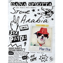 Stone Arabia Bir Rock'n Roll Romanı - Dana Spiotta - Everest Yayınları