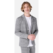 Colins Gri Erkek Ceket Gri