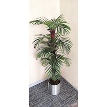 Rüzgar Çiçekçilik 150 Cm Palmiye Ağacı Yeşil