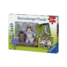 Ravensburger 3x49 Parça Puzzle Tiger Babies 080465
