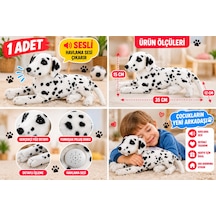 Sesli Peluş Dalmaçyalı Köpek 35 Cm Havlayan Sevimli Yumuşak Peluş Oyuncak Çok Renkli