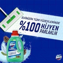 Domestos Yüzey Temizleyici Yoğun Kıvam Çam 1500 Ml 1000'li Set