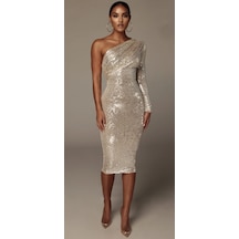 Hanife Glam Couture Hanife Glam Pulpayet Işlemeli Tek Kollu Midi Elbise Gümüş