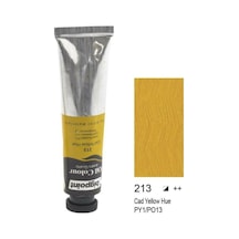 Bigpoint Yağlı Boya 45 ML 213 Cadmium Yellow Hue