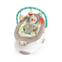 Bright Starts Sallanan Bebek Titreşimli Ana Kucağı