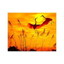 Günbatımı Ve Romantik Kuşlar Çerçeveli 90x110 Sayılarla Boyama Hobi Seti
