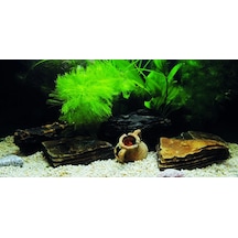 Kanki Pet Kp10552033 Akvaryum Arka Fon Yapıştırma 105 X 52 Cm