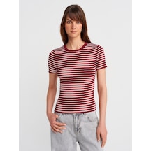 Dilvin 10758 Bisiklet Yaka Çizgili Basic Triko Bluz-bordo-ekru Bordo-ekru