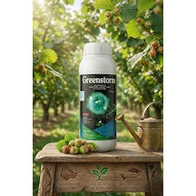 1 L