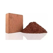 Serada Decor Plant Hindistan Cevizi Torfu Cocopeat 10 Litre