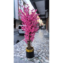 Rüzgar Yapay Çiçekçilik 140 Cm 25x25 Saksıda Pembe Bahardalı Pembe