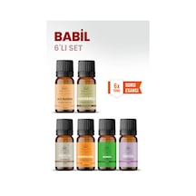 Babil 6 Lı Oda Kokusu Seti Buhurdanlık Yağı, Difüzör Esansı Ve Esansiyel Uçucu Yağ 10ml X 6 Karışık