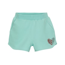 Mint Yeşili