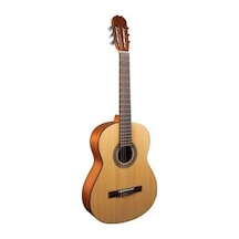 Alvaro Klasik Gitar No:29 İspanyol Elyapımı