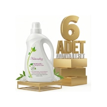 1 L