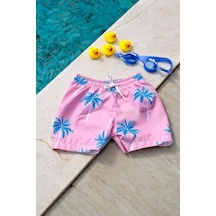Toz Pembe