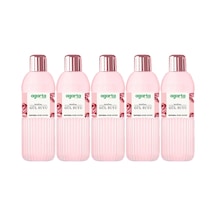 Agarta Doğal Gül Suyu 400ml 5 Li Set