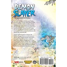 Slayer: Kimetsu No Yaiba, Vol. 9: Volume 9