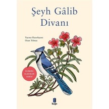 Şeyh Galib Divanı-Ölümsüz Klasikler- Kapı Yayınları