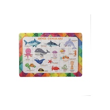36 Parça Çocuk Puzzle + Boyama Deniz Canlıları