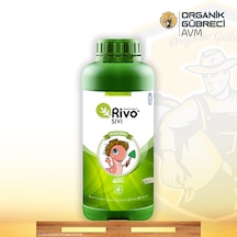 1 L