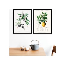 Zeytin - Limon Ahşap Çerçeveli Tablo Set 30x40 Cm