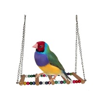 Dmcpetstore Kuş Oyuncağı