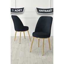 Antrasit -Gold