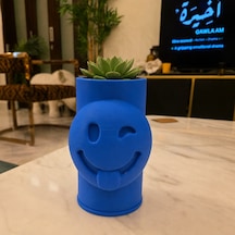 Bezos 3d Baskı Emoji Planter - Göz Kırpan Yüzlü Sukulent Saksısı-mavi Agc Standart