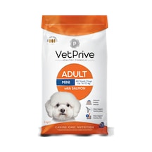 Mini Adult Somonlu Köpek Maması 3 Kg
