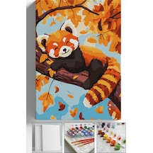 Sayılarla Boyama Seti Numaralı Tuval Fırça Boya Askı Aparatı Dahil Set 40x50 Cm - Sonbaharkoala