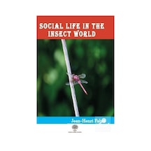 Social Life in the Insect World - Jean Henri Fabre - Platanus Publishing