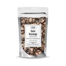 Tos The Organic Spices Selvi Kozalağı 100 G Cupressus Sempervirens