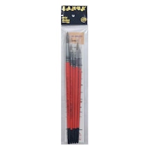 5'li Sulu Ve Akrilik Boya Fırça Seti, Karışık Renkli, 4 Parça, 2.5mm Fırça Genişliği, 15cm Sap Uzunluğu, Stan