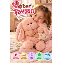 Pembe Obur Tavşan Peluş Oyuncak 26 Cm Yumuşak Welsoft Kumaşlı Sevimli Tombul Tavşan Uyku Arkadaşı
