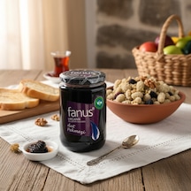 Fanus Organik Dut Pekmezi 800 G