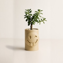 3d Baskı Emoji Planter - Göz Kırpan Yüzlü Sukulent Saksısı-bej