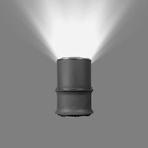 Tekli Çağlayan Beyaz Işık Aplik Ip54 Zita Dış Mekan Bahçe Duvar Aydınlatma Armatürü + Led Ampul Diğer