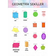 Çok Renkli