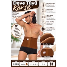 Deve Tüyü Renk Orlon Korse Unisex Bel Ve Karın Destek Korsesi M 1016 - Rylks Diğer