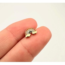 Tragus Piercing Çelik Paslanmaz Gökkuşağı Detaylı Altın - 647562110 Altın