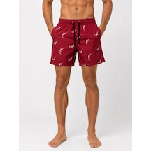 Bordo