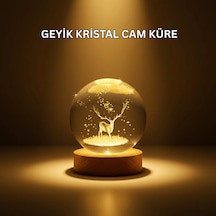 Mey İthalat Usb Bağlantılı Geyik Temalı Kristal Küre Premium Masa Gece Lambası Şeffaf