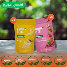 Organik Çıtır Çilek & Kurutulmuş Kavun 6'lı Paketi Diğer